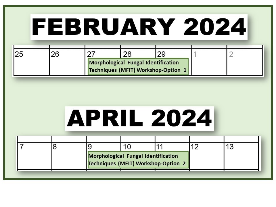 2024 Morphological Fungal Identification Techniques National